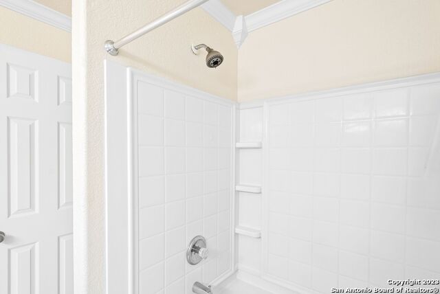 Image 22 of 32 For 911 Rustic Cactus