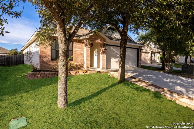 Image 3 of 32 For 911 Rustic Cactus