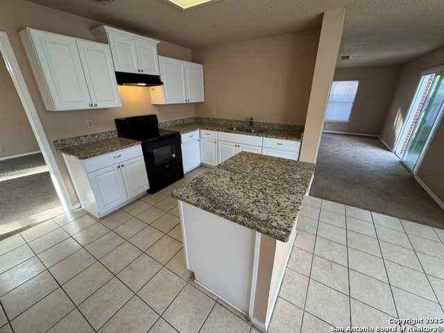 Image 12 of 18 For 9146 Victory Pass