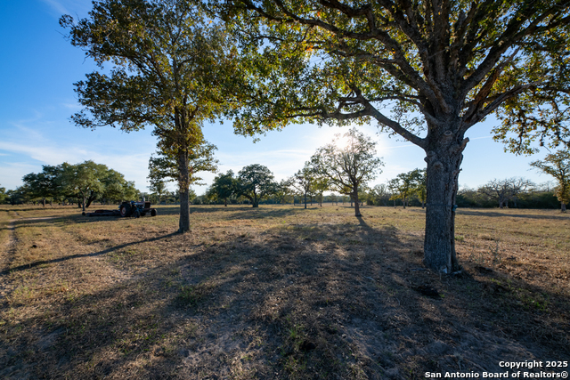 Listing photo id 8 for 1038 Old Goliad