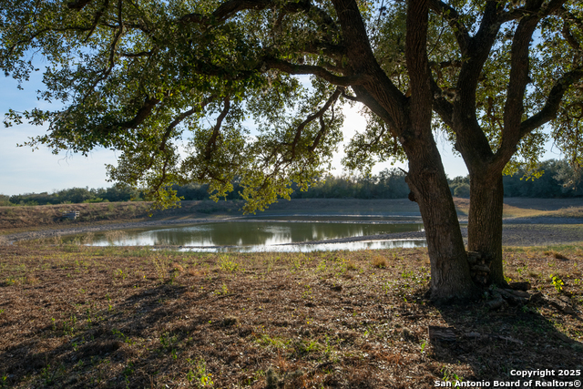 Listing photo id 9 for 1038 Old Goliad