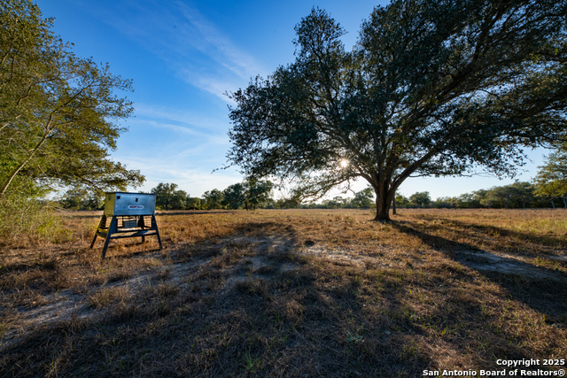 Listing photo id 11 for 1038 Old Goliad