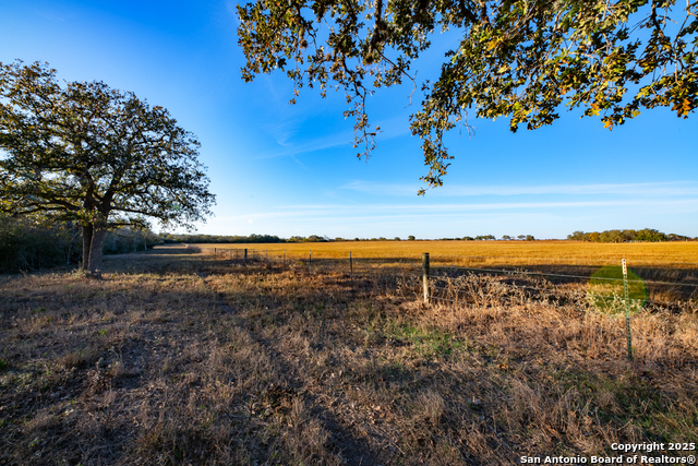 Listing photo id 13 for 1038 Old Goliad