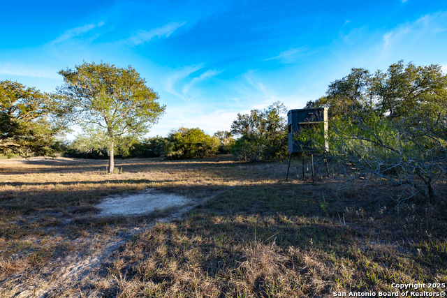 Listing photo id 14 for 1038 Old Goliad