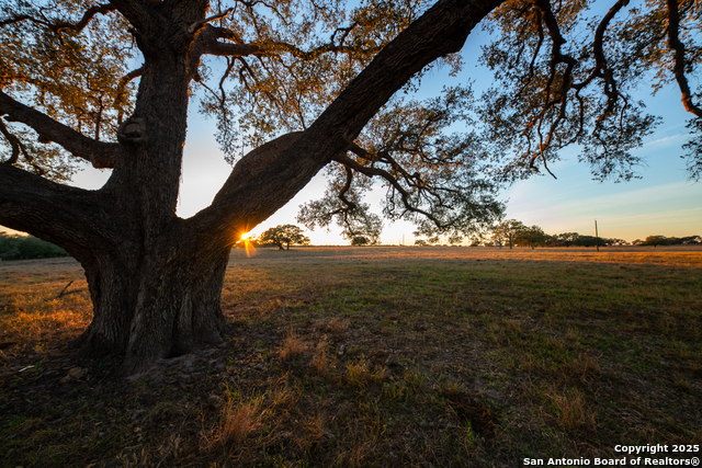 Listing photo id 17 for 1038 Old Goliad