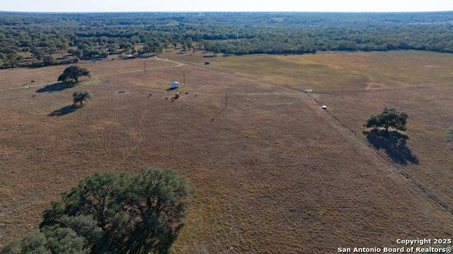 Listing photo id 20 for 1038 Old Goliad