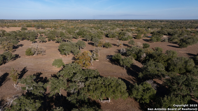 Listing photo id 23 for 1038 Old Goliad