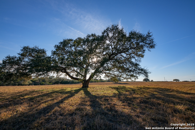 Listing photo id 6 for 1038 Old Goliad