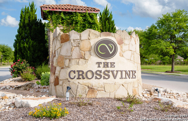 Image 9 of 10 For 12131 Secret Vine