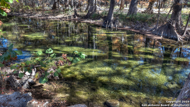 Image 28 of 86 For 6454 Us Highway 83 N