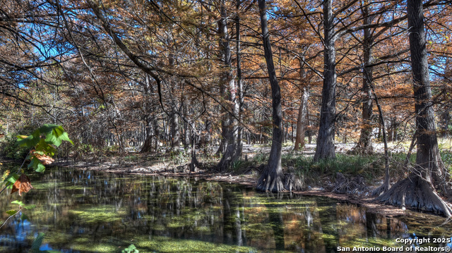 Image 29 of 86 For 6454 Us Highway 83 N