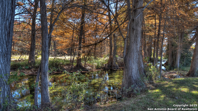 Image 31 of 86 For 6454 Us Highway 83 N