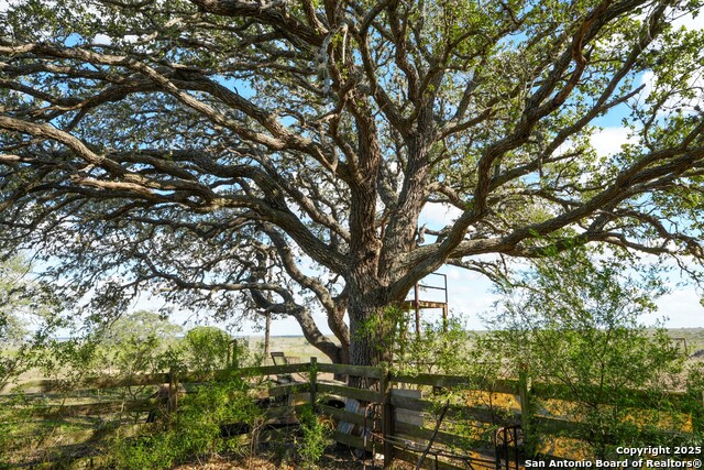 Image 10 of 32 For 0 Cr 115  