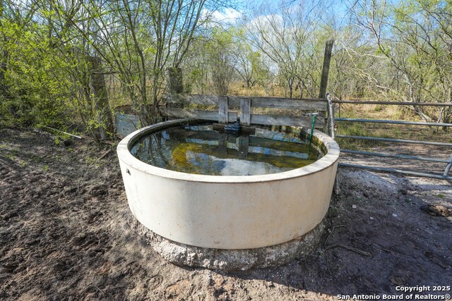 Image 13 of 32 For 0 Cr 115  