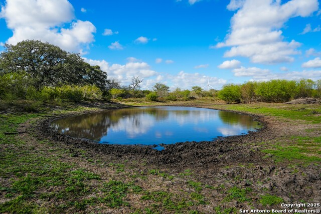 Image 14 of 32 For 0 Cr 115  