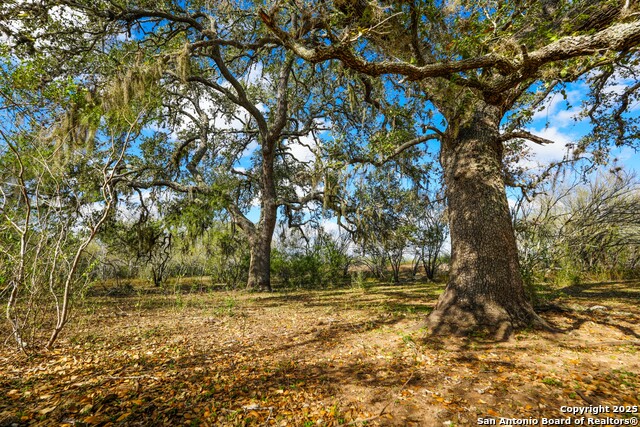 Image 2 of 32 For 0 Cr 115  