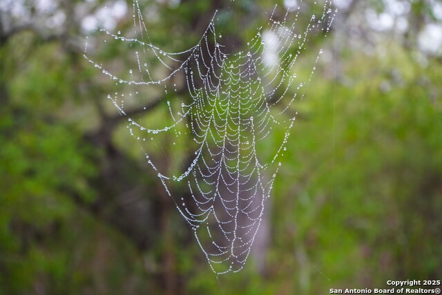 Image 22 of 32 For 0 Cr 115  