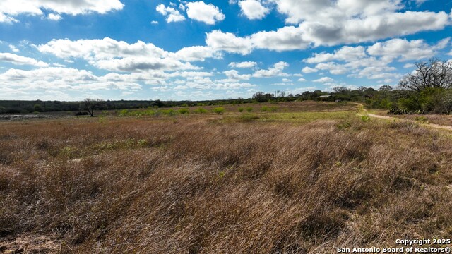 Image 24 of 32 For 0 Cr 115  