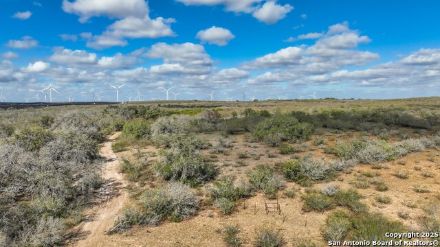 Image 31 of 32 For 0 Cr 115  