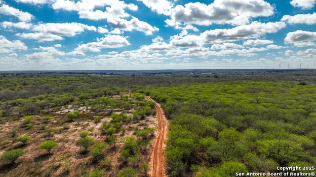 Image 32 of 32 For 0 Cr 115  