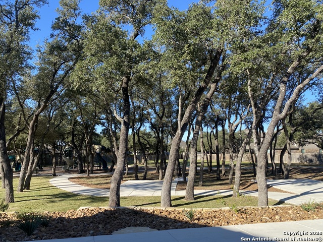 Listing photo id 29 for 128 Cinnamon Creek