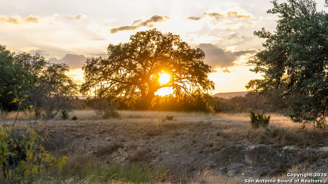 Details for 1593 County Road 354, Utopia, TX 78884