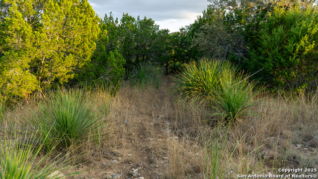 Listing photo id 8 for 1593 County Road 354