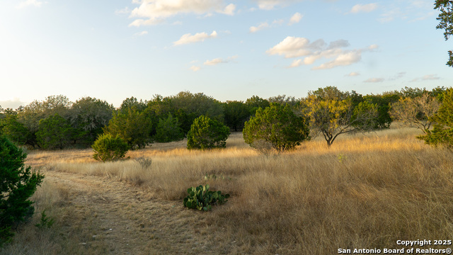 Listing photo id 9 for 1593 County Road 354