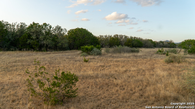 Listing photo id 11 for 1593 County Road 354