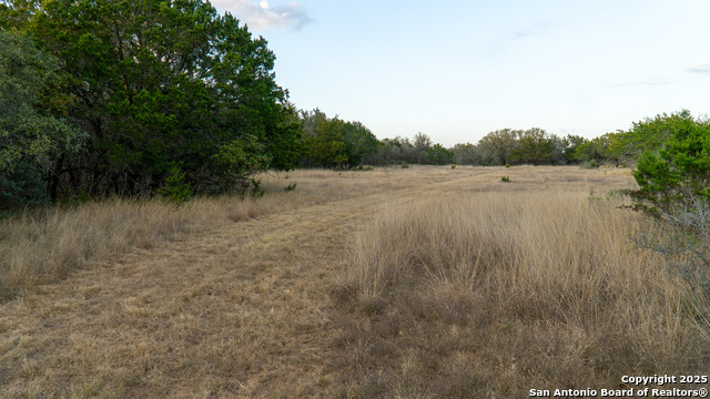 Listing photo id 12 for 1593 County Road 354