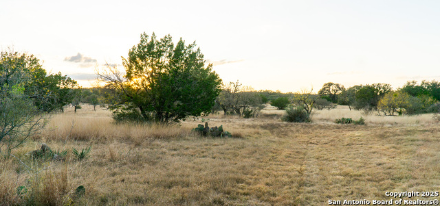 Listing photo id 13 for 1593 County Road 354