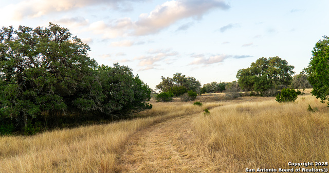 Listing photo id 16 for 1593 County Road 354