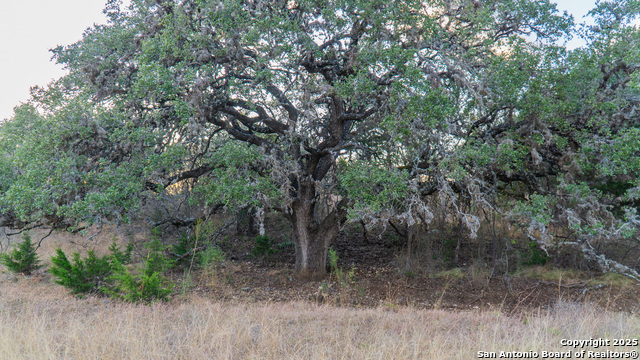 Listing photo id 17 for 1593 County Road 354