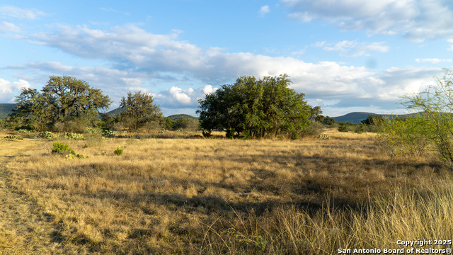 Listing photo id 18 for 1593 County Road 354