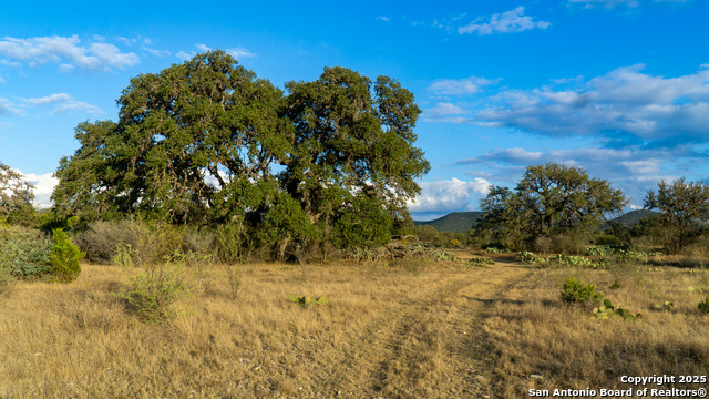 Listing photo id 19 for 1593 County Road 354