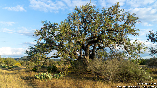 Listing photo id 21 for 1593 County Road 354