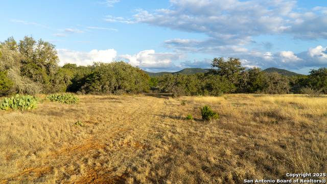 Listing photo id 22 for 1593 County Road 354