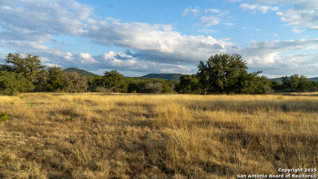 Listing photo id 23 for 1593 County Road 354