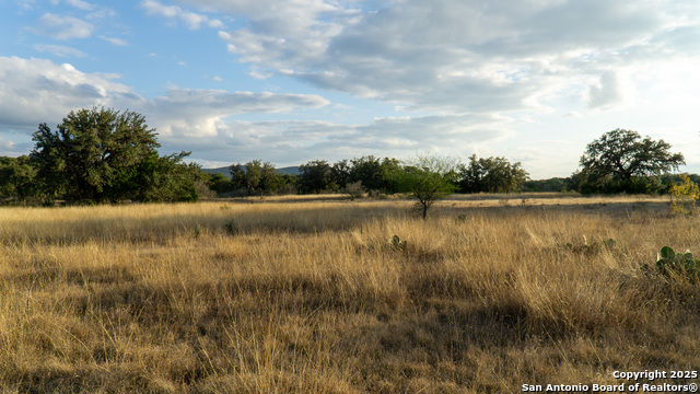 Listing photo id 24 for 1593 County Road 354