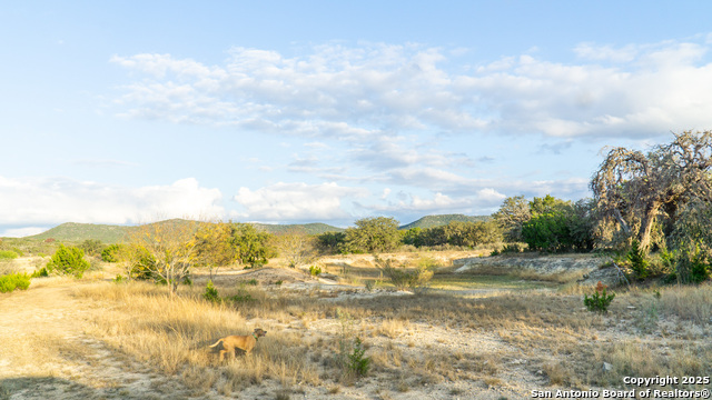 Listing photo id 25 for 1593 County Road 354