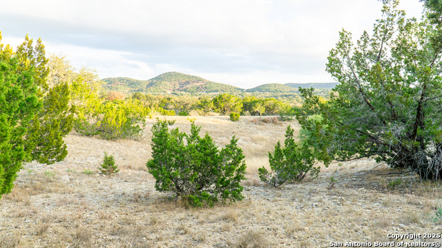 Listing photo id 3 for 1593 County Road 354