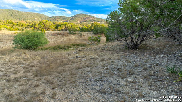 Listing photo id 4 for 1593 County Road 354