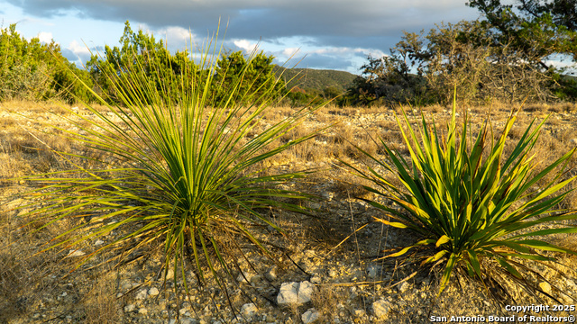 Listing photo id 5 for 1593 County Road 354