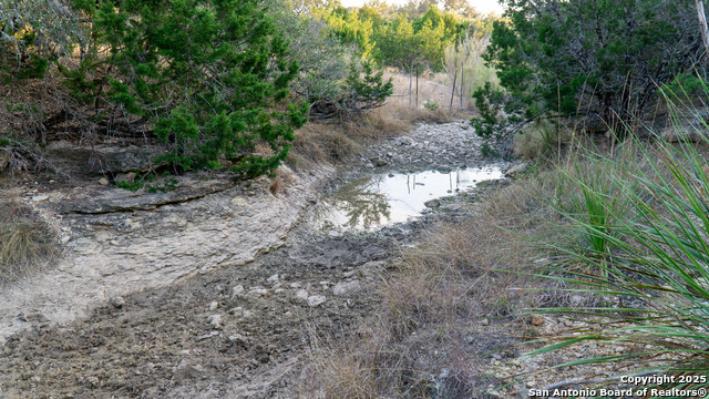 Listing photo id 6 for 1593 County Road 354