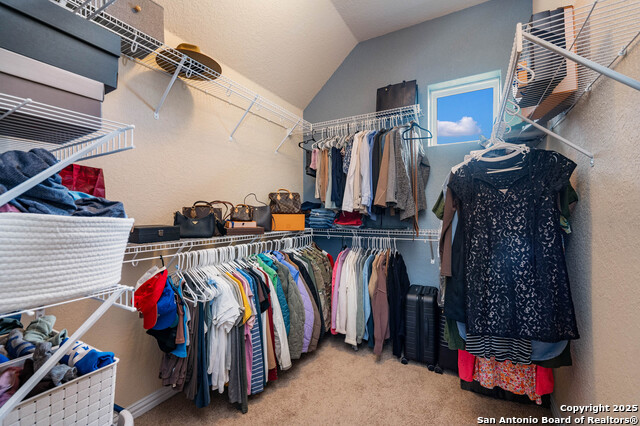 Image 23 of 35 For 8921 Vine Leaf