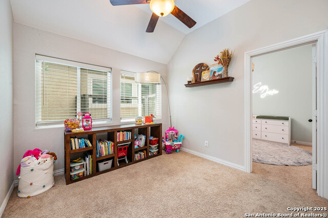 Image 25 of 35 For 8921 Vine Leaf