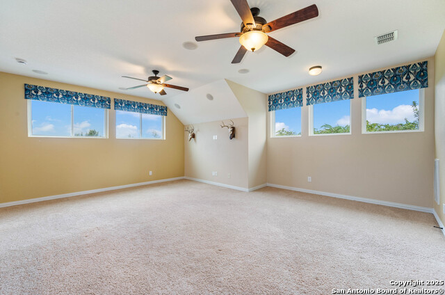 Image 29 of 35 For 8921 Vine Leaf