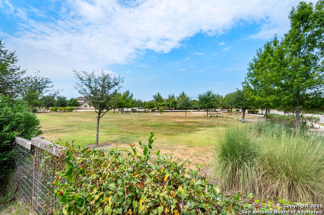 Image 35 of 35 For 8921 Vine Leaf