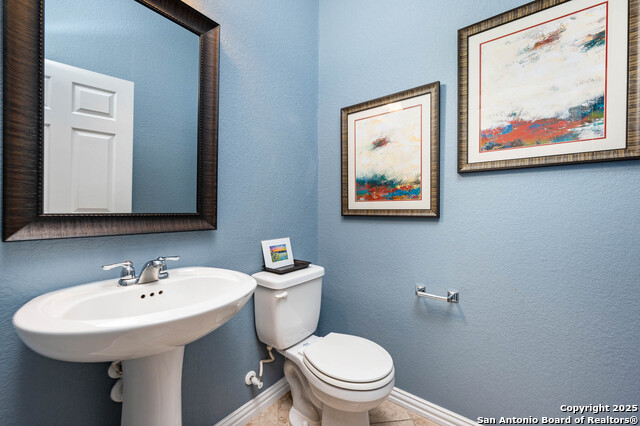 Image 8 of 35 For 8921 Vine Leaf