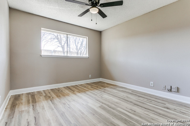 Image 14 of 17 For 14206 Short Horn